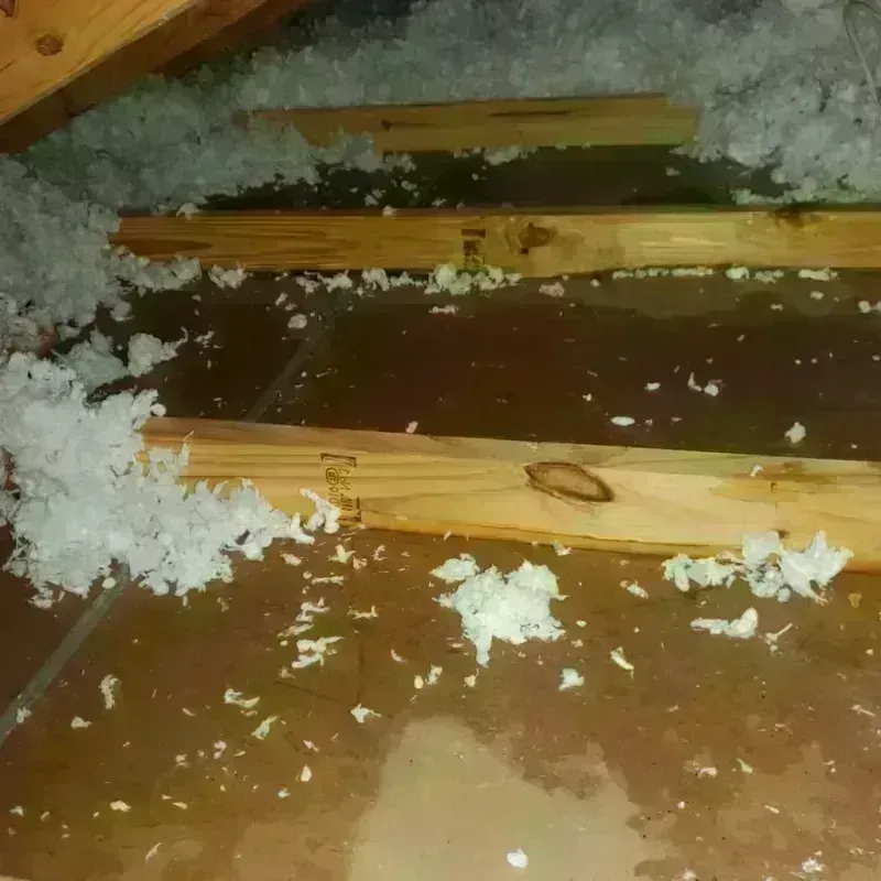 Attic Water Damage in Jamestown, TN